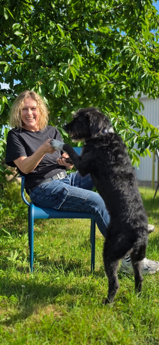 Sigi Morgenroth
